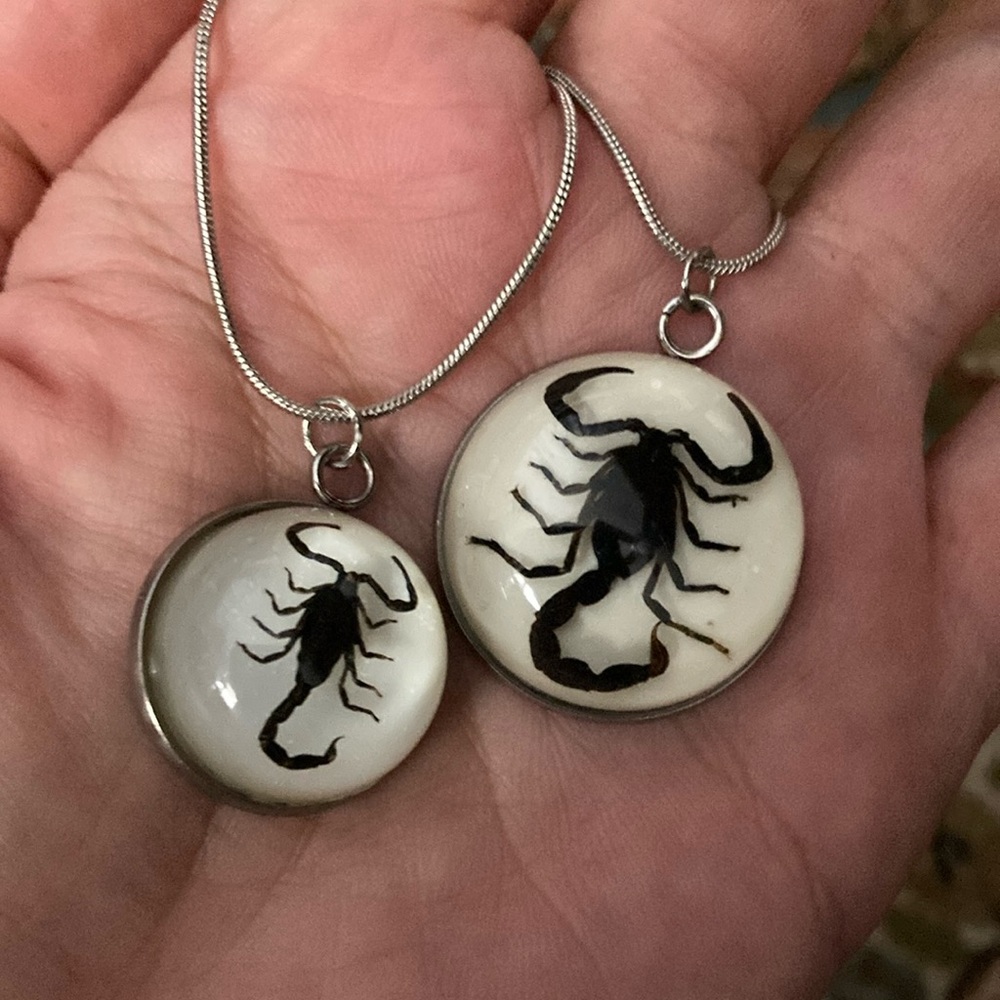 Real Scorpion Preserved Necklace Pendant Black Scorpio